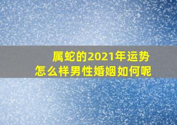 属蛇的2021年运势怎么样男性婚姻如何呢