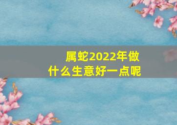 属蛇2022年做什么生意好一点呢