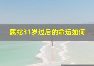 属蛇31岁过后的命运如何