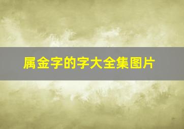 属金字的字大全集图片