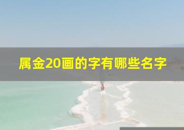 属金20画的字有哪些名字