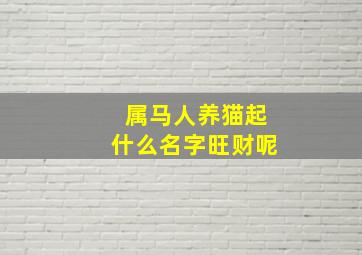 属马人养猫起什么名字旺财呢