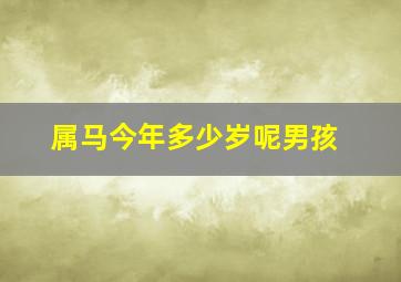 属马今年多少岁呢男孩