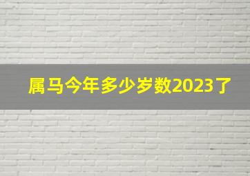 属马今年多少岁数2023了