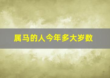 属马的人今年多大岁数