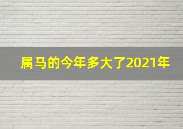 属马的今年多大了2021年