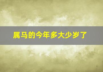 属马的今年多大少岁了