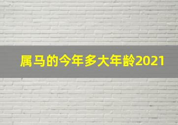 属马的今年多大年龄2021