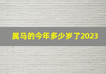 属马的今年多少岁了2023