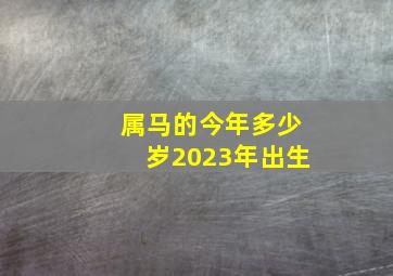 属马的今年多少岁2023年出生