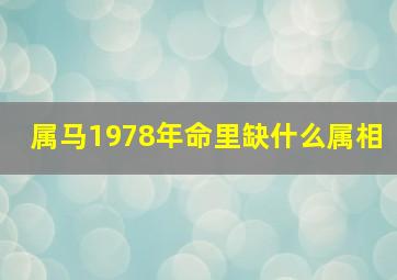 属马1978年命里缺什么属相