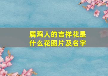 属鸡人的吉祥花是什么花图片及名字