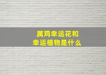 属鸡幸运花和幸运植物是什么