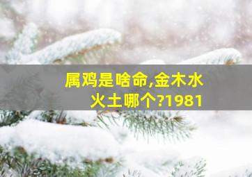 属鸡是啥命,金木水火土哪个?1981