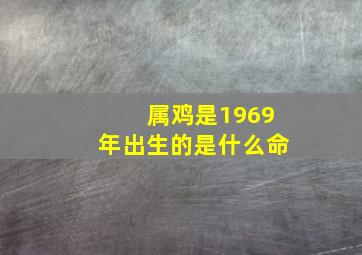 属鸡是1969年出生的是什么命