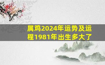 属鸡2024年运势及运程1981年出生多大了