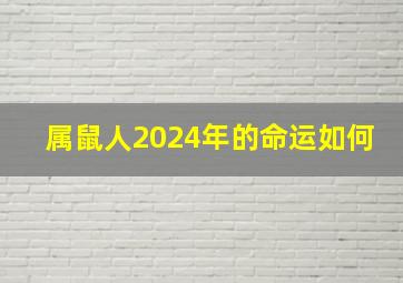 属鼠人2024年的命运如何