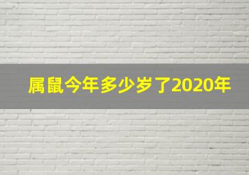 属鼠今年多少岁了2020年