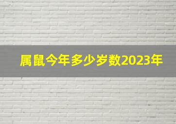 属鼠今年多少岁数2023年