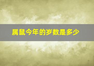 属鼠今年的岁数是多少