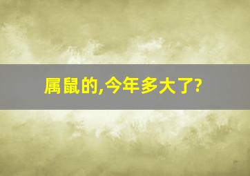 属鼠的,今年多大了?