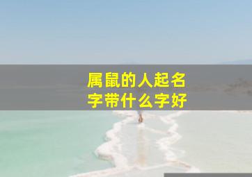 属鼠的人起名字带什么字好