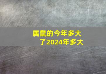 属鼠的今年多大了2024年多大