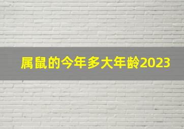 属鼠的今年多大年龄2023