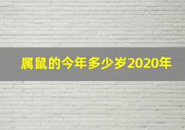 属鼠的今年多少岁2020年