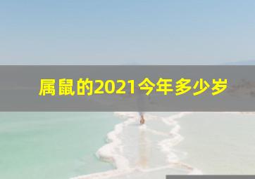 属鼠的2021今年多少岁