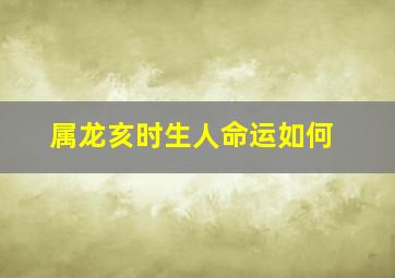 属龙亥时生人命运如何