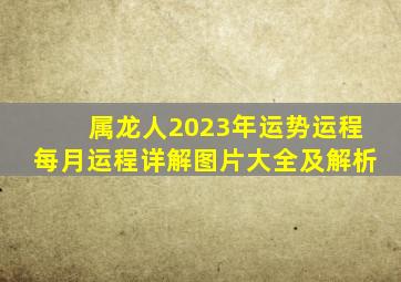 属龙人2023年运势运程每月运程详解图片大全及解析