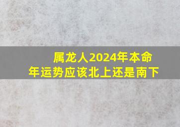 属龙人2024年本命年运势应该北上还是南下