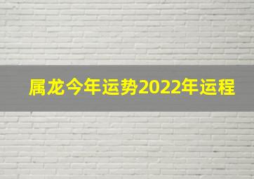 属龙今年运势2022年运程