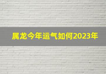 属龙今年运气如何2023年