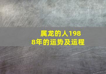 属龙的人1988年的运势及运程