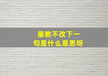 屡教不改下一句是什么意思呀