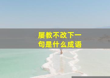 屡教不改下一句是什么成语