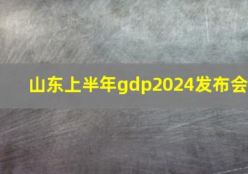 山东上半年gdp2024发布会