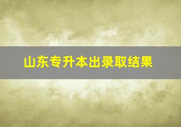 山东专升本出录取结果