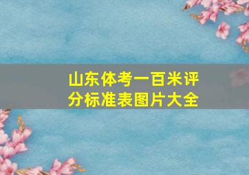 山东体考一百米评分标准表图片大全