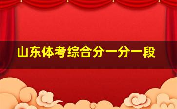 山东体考综合分一分一段