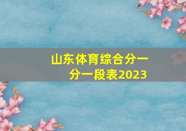 山东体育综合分一分一段表2023