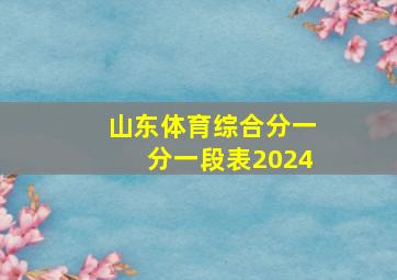 山东体育综合分一分一段表2024