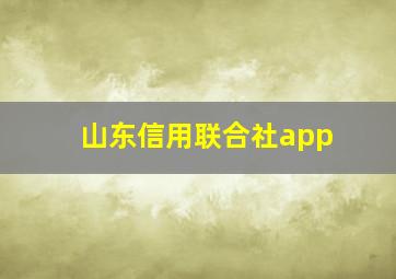 山东信用联合社app