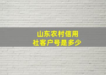 山东农村信用社客户号是多少