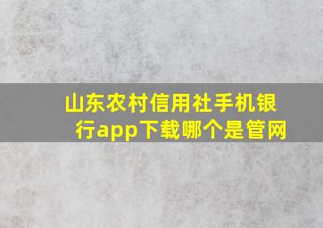 山东农村信用社手机银行app下载哪个是管网