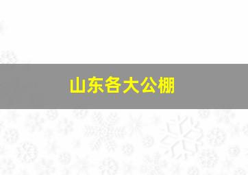 山东各大公棚