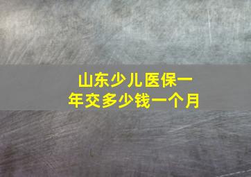 山东少儿医保一年交多少钱一个月