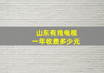 山东有线电视一年收费多少元